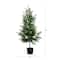 5ft. Unlit Norfolk Pine Artificial Potted Christmas Tree